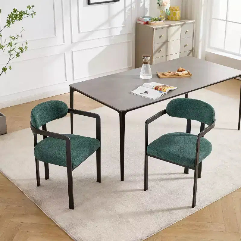 Modern Dining Room Chairs Set of 2, Upholstery Side Arm Chairs with Black Metal Legs for Kitchen, Dining Room, or Living Areas-Panipeachy