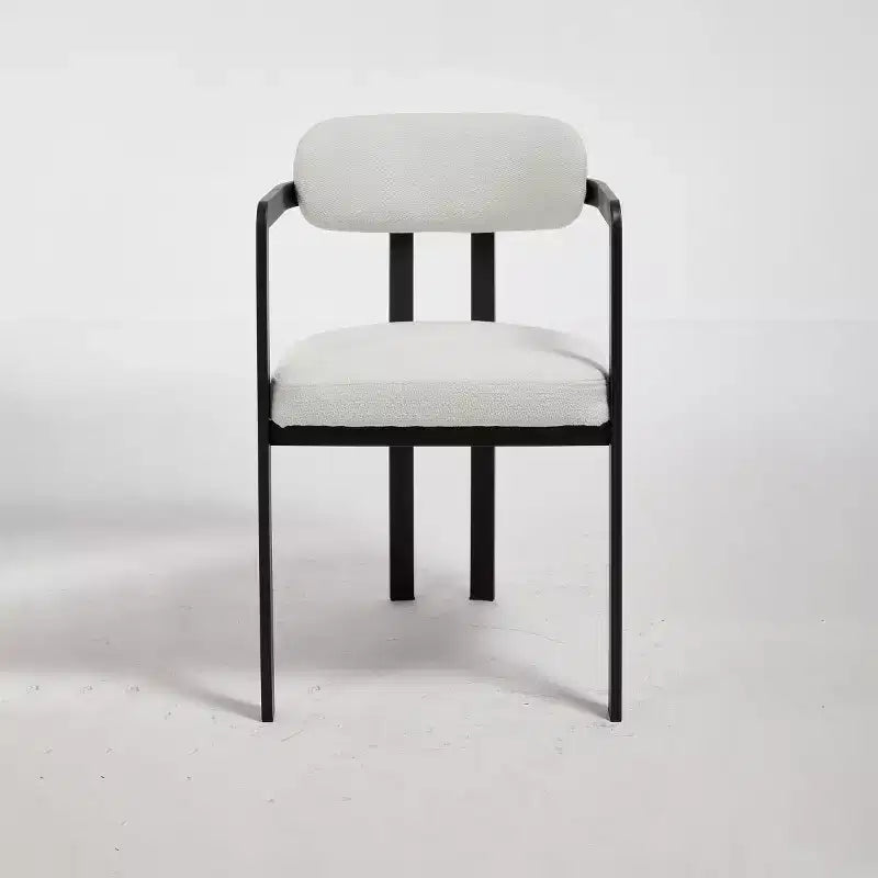 Modern Dining Room Chairs Set of 2, Upholstery Side Arm Chairs with Black Metal Legs for Kitchen, Dining Room, or Living Areas-Panipeachy