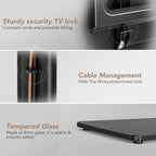 Supporto TV universale da pavimento
