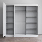 2-Door Wardrobe with Mirror, Glass Front, 2-Person (Gray / Black / White)