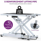 Table de Toilettage Électrique Professionnelle pour Grands Chiens Table de Toilettage Robuste pour Animaux avec Bras de Toilettage en Aluminium - 127 cm L