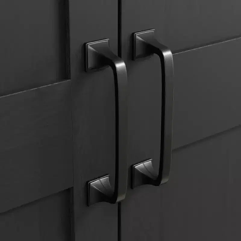 2 Door Storage Cabinet - Sauder