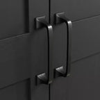 2 Door Storage Cabinet - Sauder
