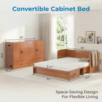 Mjkone Queen Size Convertible Murphy Cabinet Bed with USB Charging, Storage Drawers,No Mattress Included