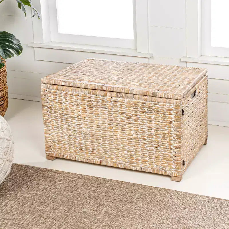 Baule portaoggetti in vimini intrecciato Anada 30