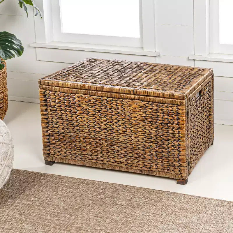 Baule portaoggetti in vimini intrecciato Anada 30