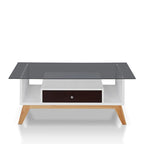 Tevi Modern 47-inch Glass Top 1-Shelf Coffee Table by Furniture of America