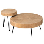 COZAYH Ensemble de 2 tables basses