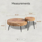 COZAYH Ensemble de 2 tables basses