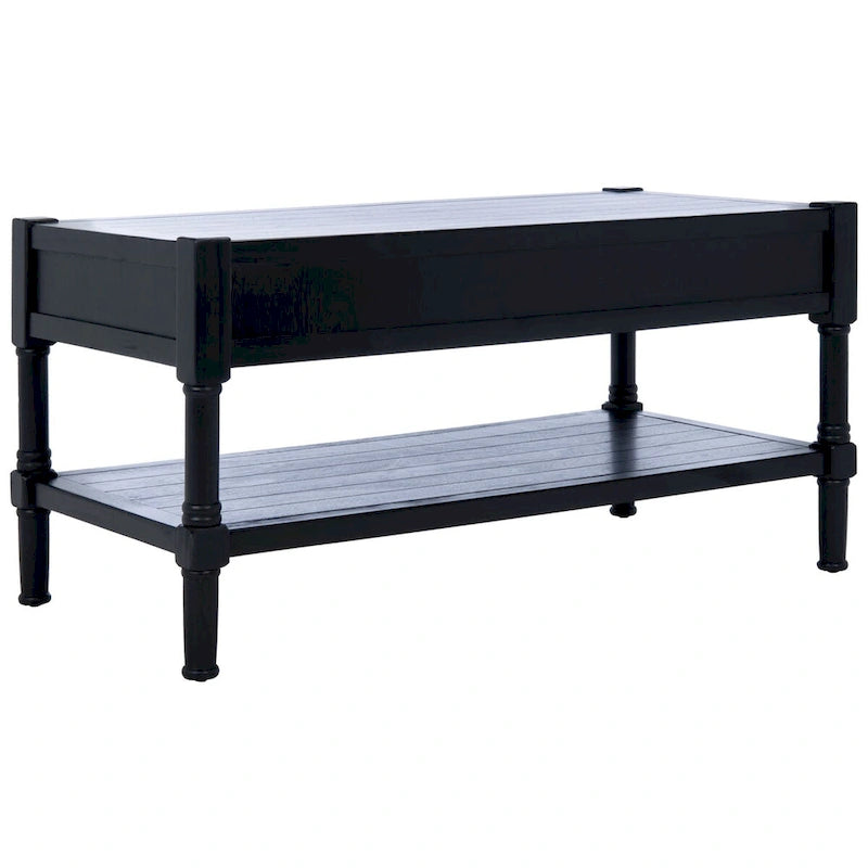 SAFAVIEH Alene 2-Drawer Bottom Shelf Coffee Table - 37.8 W x 19 L x 19 H - 38Wx19Dx19H