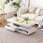 Coffee Table with 2 Drawers and Display Shelves