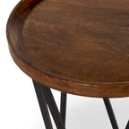 Tavolino Lamar in legno di mango marrone medio di Kosas Home