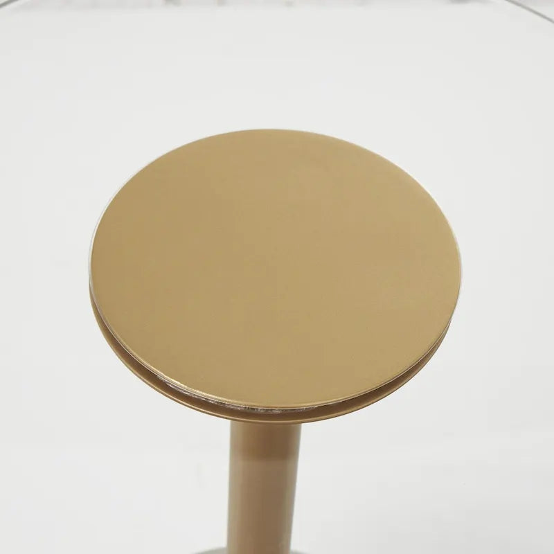 Tavolino d'appoggio in acrilico con base rialzata e supporto dorato - Trasparente - Roche River Decor
