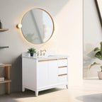 Vanity Art Bathroom Vanity with Ceramic Sink and Engineered Marble Top