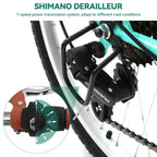 Moasis24/26 Vélo Cruiser 7 Vitesses, Vélo à Cadre Bas Ajustable, Vélo de Ville, Bicyclette